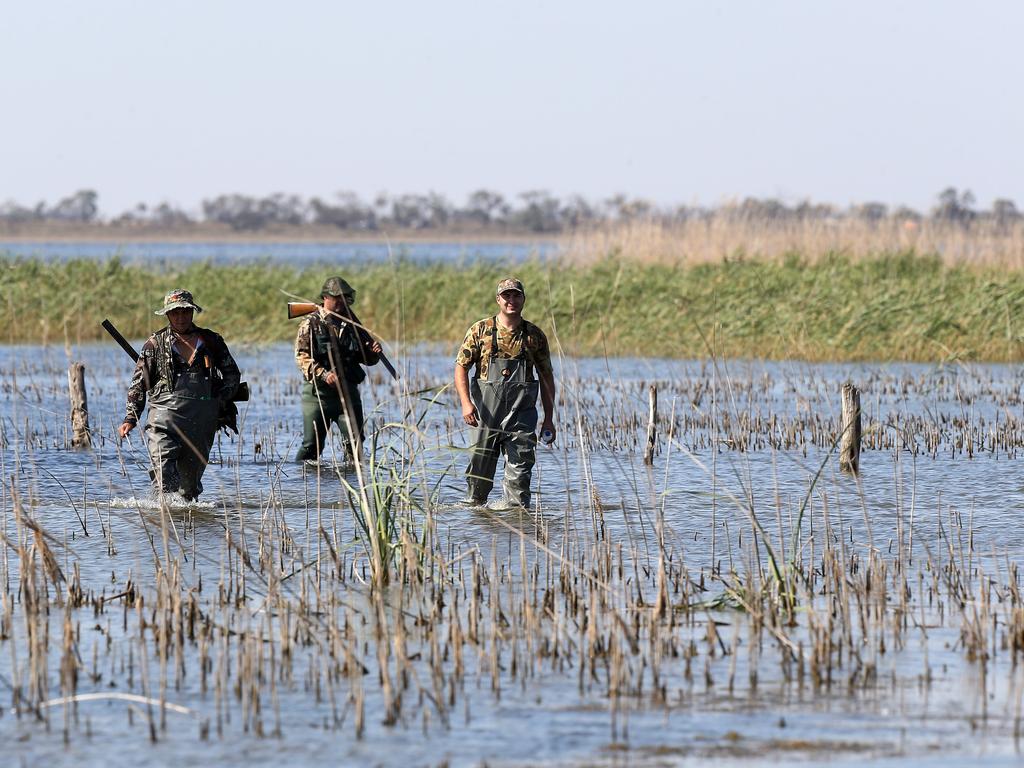 Electrical Trades Union members fear duck hunting restrictions will lead to other outdoor bans.