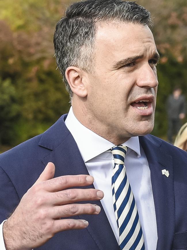 Opposition Leader Peter Malinauskas.