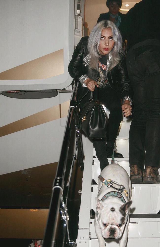 Lady Gaga and one of her French bulldogs. Picture: Instagram