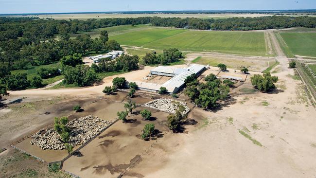 The Boonoke Station is part of AFA’s 122,935 hectares near Deniliquin and Conargo.