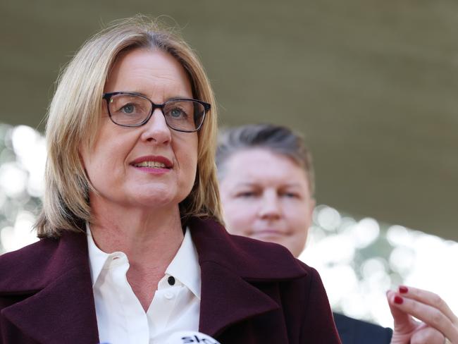 Jacinta Allan is set to fast-track the machete ban from this Wednesday. Picture: NewsWire/ David Crosling