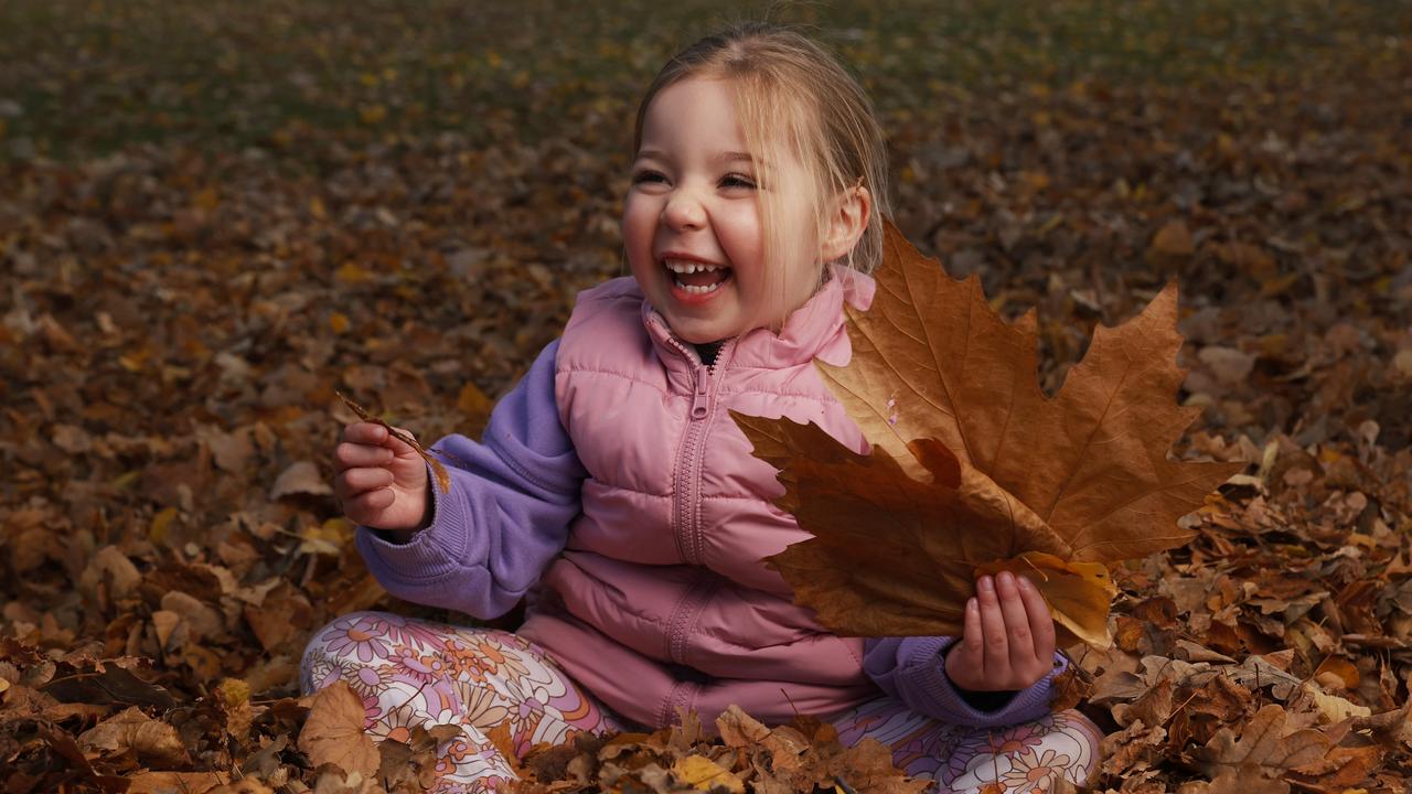 Macie Beedle 3 playing in the leaves at parliament lawns Hobart on the last day of Autumn 2025. Picture: Nikki Davis-Jones
