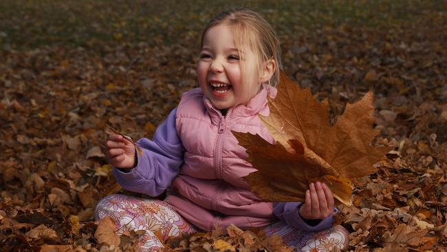 Macie Beedle 3 playing in the leaves at parliament lawns Hobart on the last day of Autumn 2025. Picture: Nikki Davis-Jones
