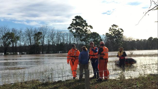 SES crews work to rescue a horse from floodwaters in Camden. Picture: Twitter / SES