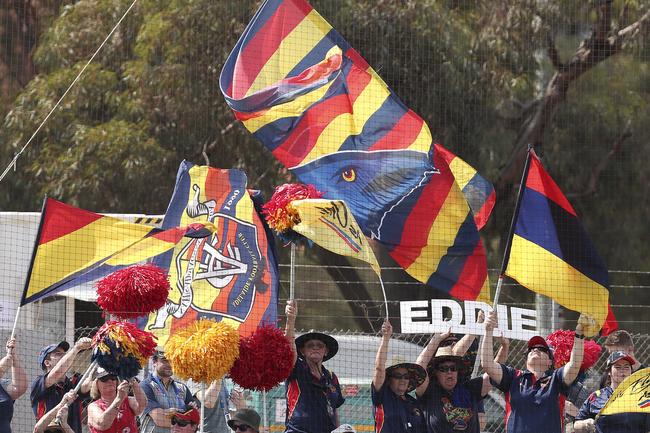 The Crows faithful made the voice heard at Memorial Oval, Port Pirie. Picture SARAH REED