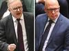 Voters turn on Albo amid chaos