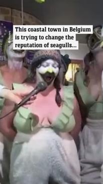 Belgian town organises seagull imitation contest