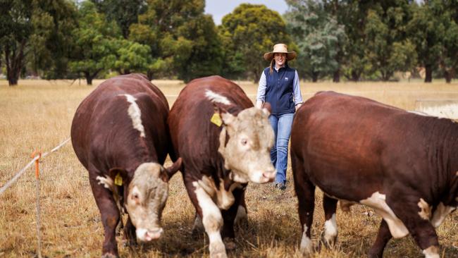 ABS Global beef sales and InFocus supply chain manager Annie Pumpa. Picture: Nicole Cleary