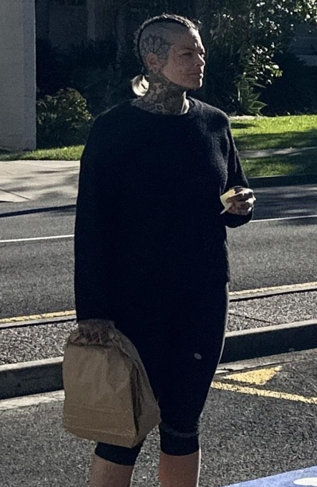 She pleaded guilty to all charges. Picture: Sam Turner