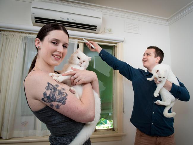 Anna Morris, 20, and fiance Ben Dawborn, 20 leave the aircon on for their cats Noodles and Snippy. Picture: Jake Nowakowski