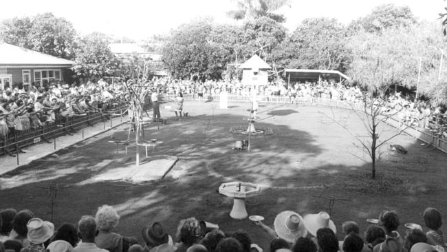 Currumbin Sanctuary’s famous bird show Picture: Supplied