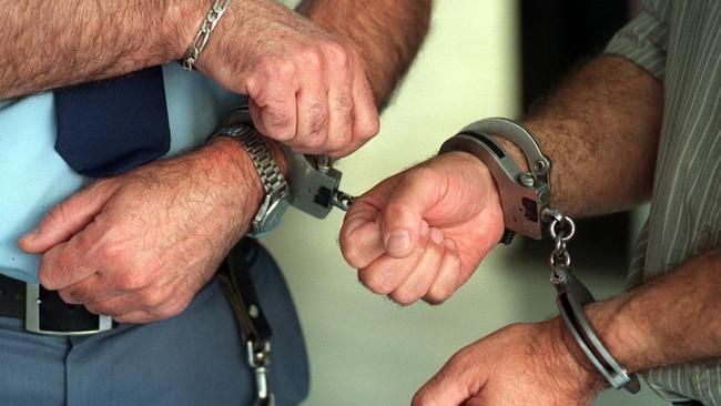 Police arrested two men alleged to have stolen several vehicles from the Darling Downs area. 