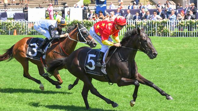 Berry rides stayer Auvray in the Melbourne Cup. (AAP Image/Rafal Kontrym)