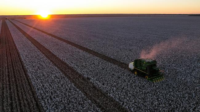 Greenhouse gas emissions from cotton production increased 15 per cent last year. Photo: supplied