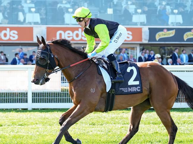 De Sonic Boom on the way to the barriers prior to the running of the Down Syndrome Victoria Jim Moloney Stakes at Caulfield Racecourse on September 23, 2023 in Caulfield, Australia. (Photo by Reg Ryan/Racing Photos via Getty Images)