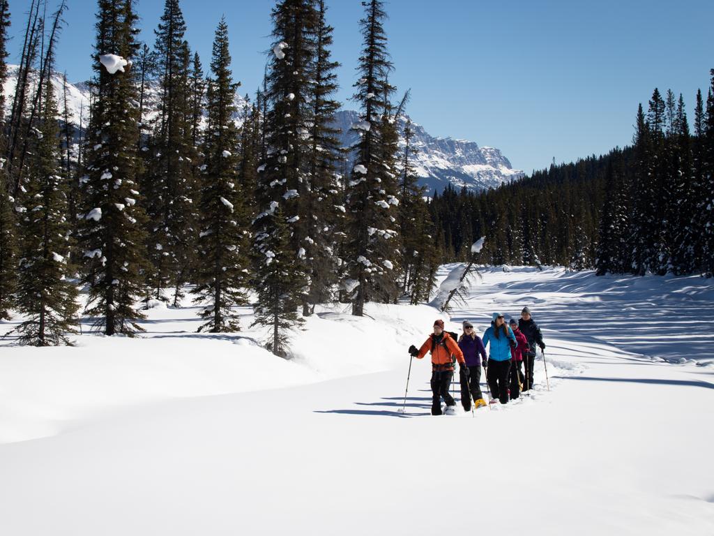 Canada holiday: Things to do in Banff and Lake Louise in winter ...