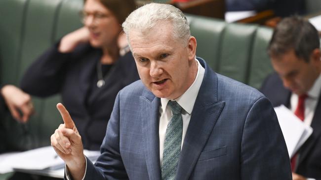 Industrial Relations Minister Tony Burke struck a deal with the Senate crossbench to pass the legislation. Picture: Martin Ollman