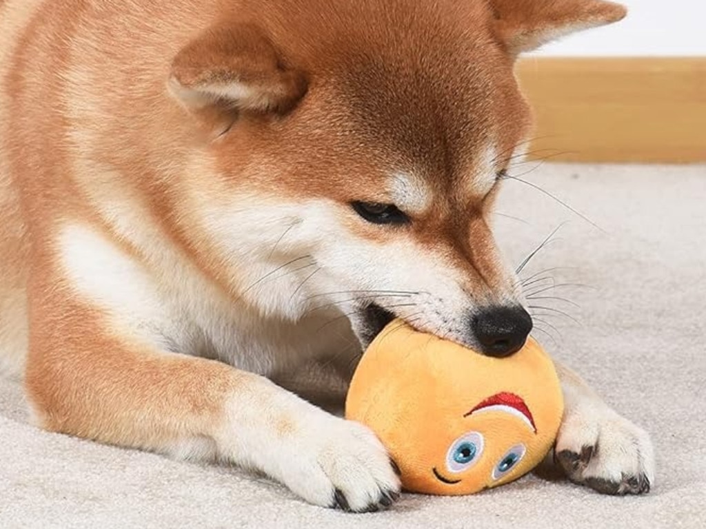 Squeaky Dog Toy. Picture: Amazon Australia.