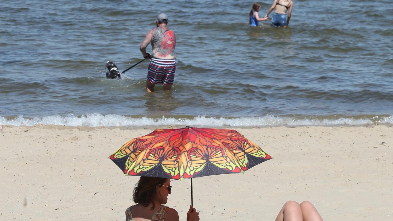 Black People Nude Beach - Sunnyside Beach North: Mornington Peninsula backs popular nudist beach |  news.com.au â€” Australia's leading news site