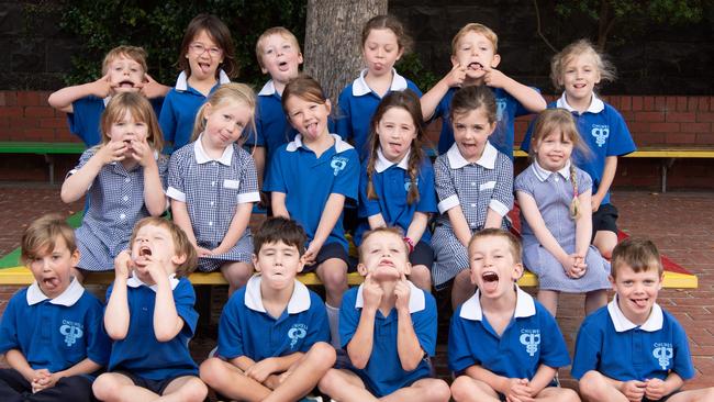 Chilwell Primary School preps Prep A Fred Grace, Livia Morgan, Jaxon Torney, Scarlet Duncan, Hugo Scarlett, Sienna Marshall. Kate McInerney, Sophie Kasper, Lucy Stanmore, Lara Bracewell, Grace Stewart, Camille Barker. Moss Stanfield, Alexander Gordon, Hugo Kelleher, Hunter Scott, Theo Davey, Easton Harmer.