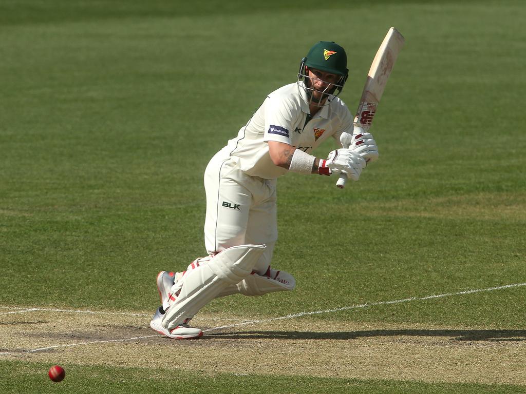 Matthew Wade is the Sheffield Shield’s leading run scorer.