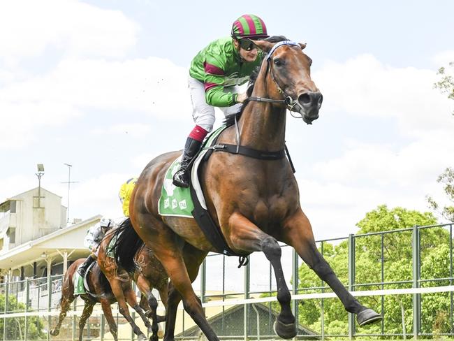 Veravino finds hersef in a suitable race to break her maiden status at Hawkesbury. Picture: Bradley Photos