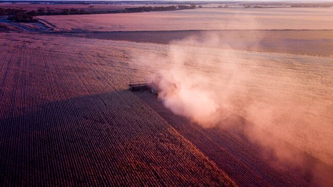 Crops being harvested in Streaky Bay. Picture: Bec Brace