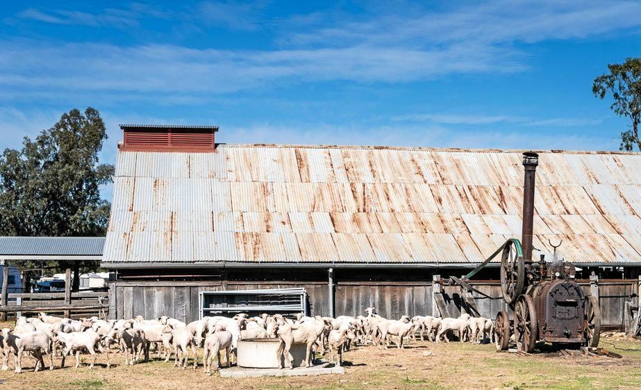 Jondaryan Woolshed. Picture: LucyRC Photography