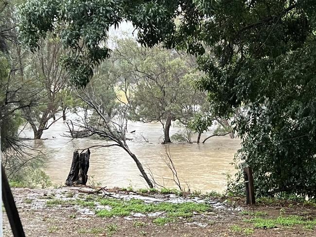 Seymour floods, 81mm of rain in 24 hours.