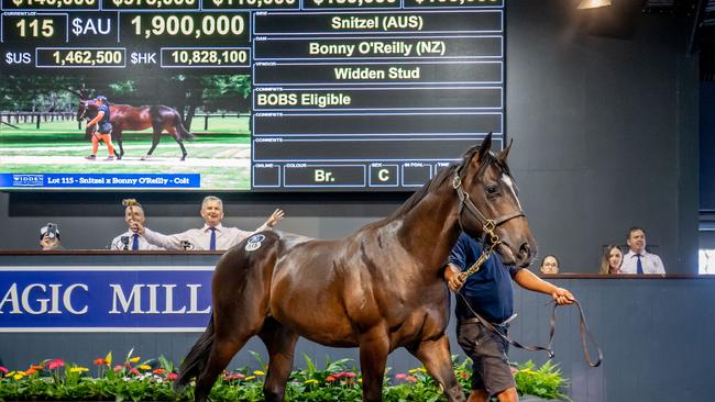 Lot 115 by Snitzel sells for $1.9 million at the Gold Coast sales.