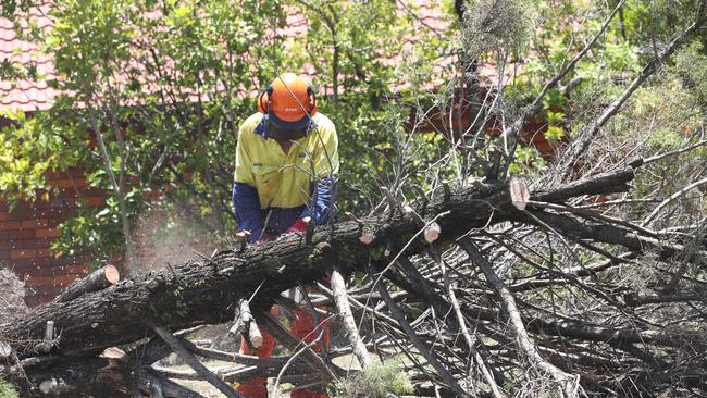 The clean up of storm damage continues across Northern Gold Coast suburbs. A council workman clears fallen trees along Discovery Drive. . Picture Glenn Hampson