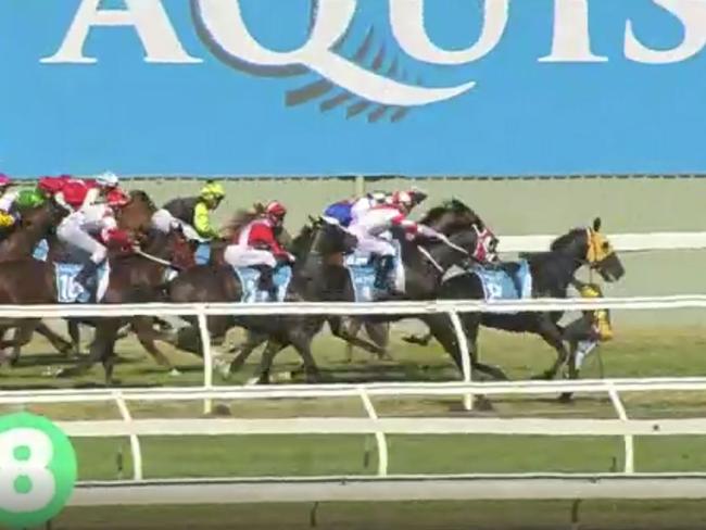 Apprentice jockey Jackson Murphy (far right) fell off Dream Master during the No Metro Wins Handicap (1100m) at the Gold Coast on Saturday, August 24, 2019. Picture: Taken from Racing Queensland website.