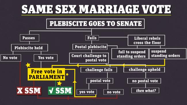 Gay Marriage Plebiscite Postal Ballot Cynical Reason Pm Picked Date 0901