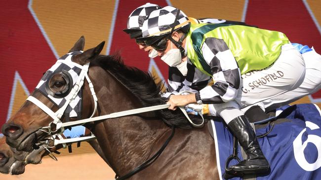 Glyn Schofield (pictured) rides Grand Rock for trainer Chris Waller. Picture: Getty Images