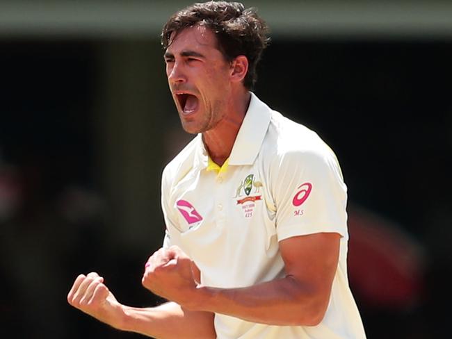 Starc will be a point of difference. Pic: Getty Images