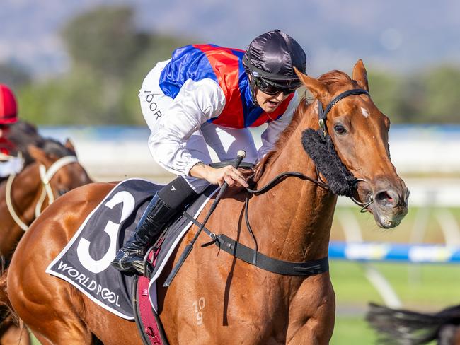 Sir Kingsford, ridden by Teagan Voorham, wins the Port Adelaide Cup at Morphettville on Saturday. Picture: Makoto Kaneko