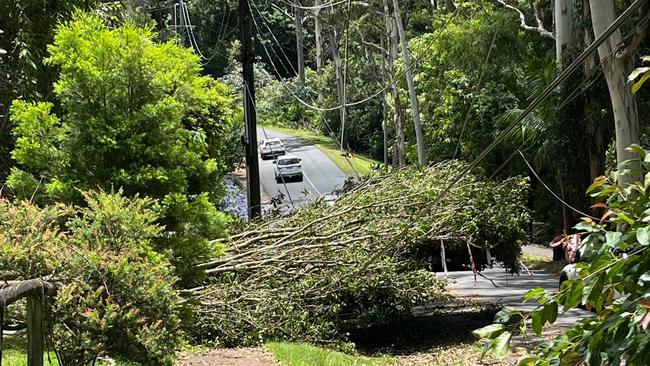 Energex work to restore thousands of damaged power lines across Southeast Queensland following the Christmas Day storm