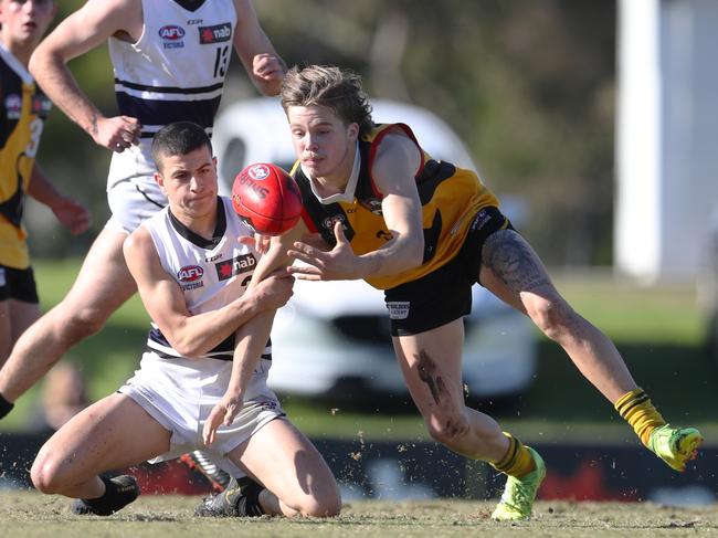 Reece Orchard (right) playing for the Stingrays. Picture: David Crosling