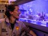 Game-changing tech to breed new reefs