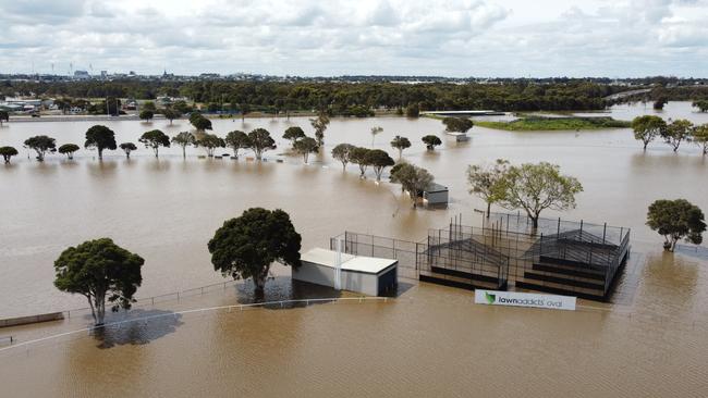 Flood water on the Barwon River Geelong. Picture David Smith.