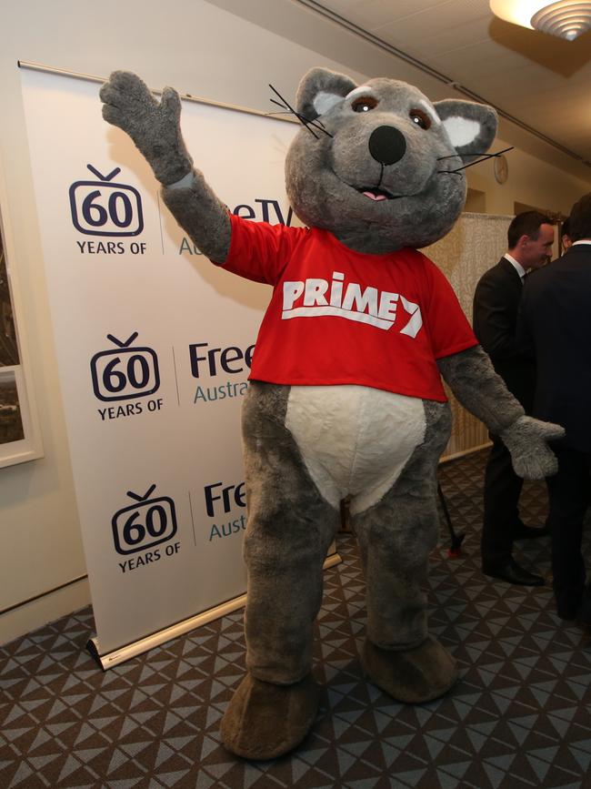 Prime Possum. Picture Kym Smith