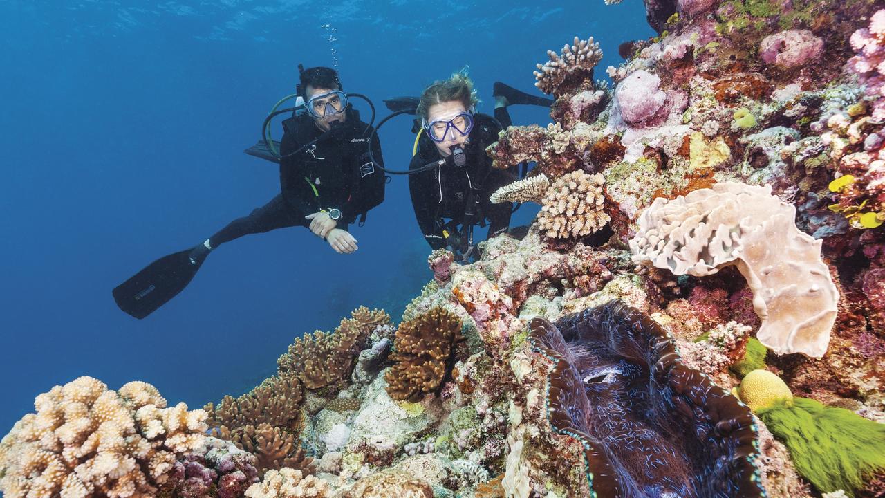 Great Barrier Reef foundation awarded $69k in contracts | The Courier Mail