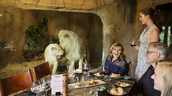 Watching white lions during dinner in The Cave at Jamala Wildlife Lodge.