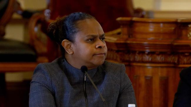 State MP for Cook Cynthia Lui, pictured at a Senate Estimates Committee hearing, said the Path To Treaty process was vitally important.