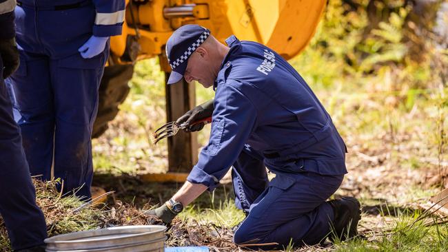 Police and forensics at the scene of the remains discovery on November 30. Picture: Jason Edwards