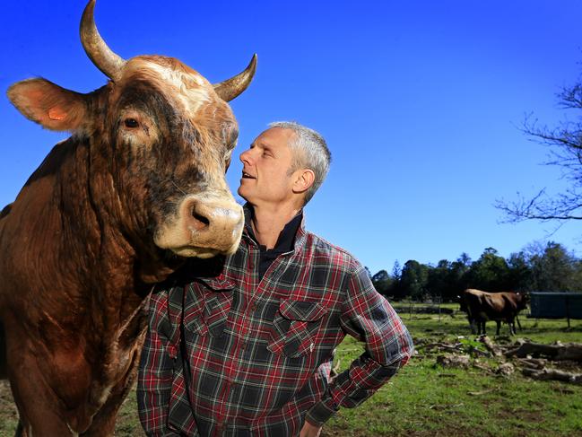 Anthony Walsgott from Save a cow sanctuary. With Swifty the Jersey bull. Jersey Bulls are considered to be agressive and have killed farmers but Anthony has a close relationship with these bulls he has rescued and hand raised. Pic Megan Slade.