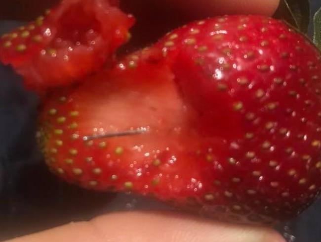 Not what you want to see inside your fruit. Pic: Facebook