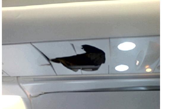 An image released by the ATSB shows where a passenger hit the roof of a plane in an unspecified incident. Picture: ATSB