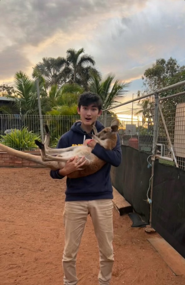 American traveller Max Cramer with a kangaroo joey at the rehabilitation centre he worked at. Picture: Supplied