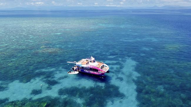 Pure Snorkelling on the Great Barrier Reef. Photo: Supplied